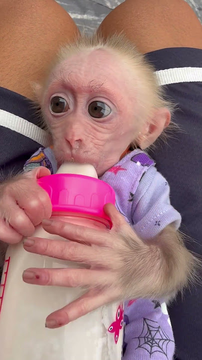 Susu on drilk milk so cute