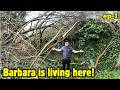Madness trees cut down rested on her roof helping barbara ep1
