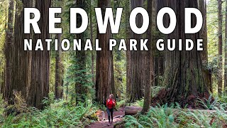 8 EPIC Things To Do In Redwood National Park (2024 Guide) by Gabriella Viola  3,898 views 4 weeks ago 6 minutes, 7 seconds
