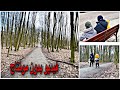 فيديو مغاير بدون مونتاج مشينا للغابة مكان الراحة والاسترخاء فيديو مغاير بدون مونتاج مشينا للغابة مكان الراحة والاسترخاء