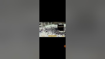 سورة النبأ بصوت الشيخ أحمد عيسى المعصراوي برواية رويس عن يعقوب الحضرمي