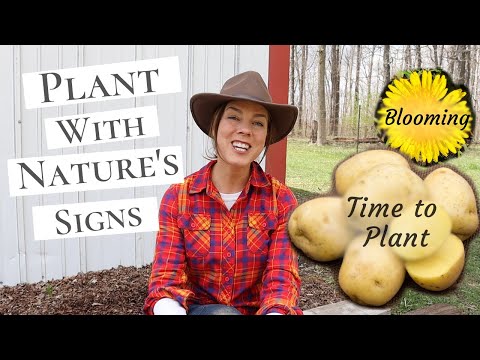 Using Phenology in the Garden- Plant by Nature&rsquo;s Signs