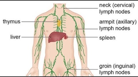 Suprahyoid Lymphadenectomy CPT code - simplify medical coding