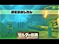 【燃えずのしれん : ダミダミのイベント コログしれん】 攻略 ゼルダの伝説 ブレスオブザワイルド  "The Test of Wood" Zelda BREATH OF THE WILD