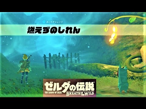 燃えずのしれん ダミダミのイベント コログしれん 攻略 ゼルダの伝説 ブレスオブザワイルド The Test Of Wood Zelda Breath Of The Wild Youtube