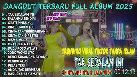 TAK SEDALAM INI LALA WIDY & SHINTA ARSINTA Dangdut Koplo Full Album Viral 2025