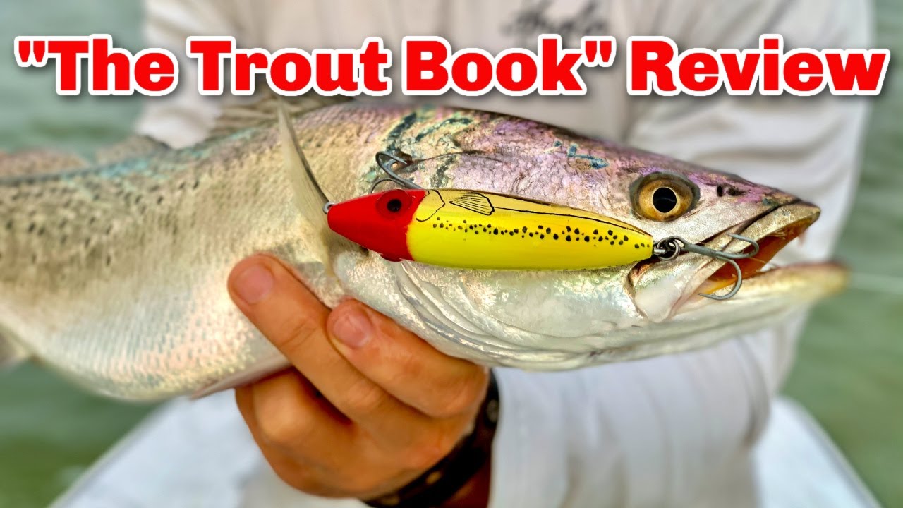 The Trout Book: Best Habitats, Baits, & Water Clarity - YouTube