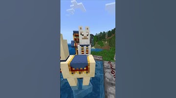 Prank over a Wandering Trader in minecraft #shorts #minecraft #meme #memes