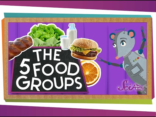 The 5 Fabulous Food Groups - Youtube