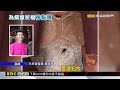 替急診童祈福擲出「立筊」 廟方：神明顯靈有指示@newsebc
