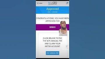 "Start Your Business the Easy Way with The CEO Creative!" #theceocreative #businesstools #business