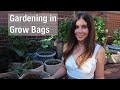 Gardening in Grow Bags | Container Gardening