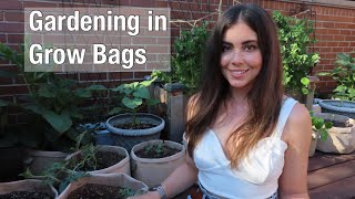 Gardening in Grow Bags | Container Gardening