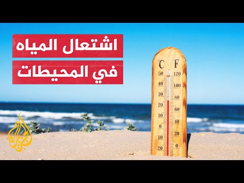 تداعيات تهدد الأحياء البحرية المحيطات تسجل أعلى درجات حرارة على الإطلاق