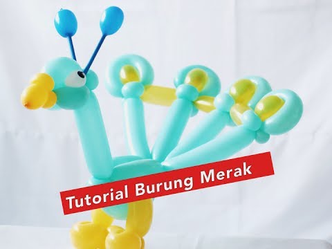 Burung Merak Tutorial Aktifitas Anak Balon Youtube Permainan Mewarnai