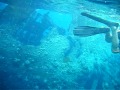 wreck snorkelling Kuredu maldives from the britt using fuji Z33WP