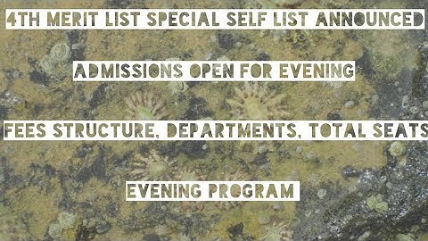 Sindh University Special Self List Announced// Admission Process For Evening Program// Fees Dept