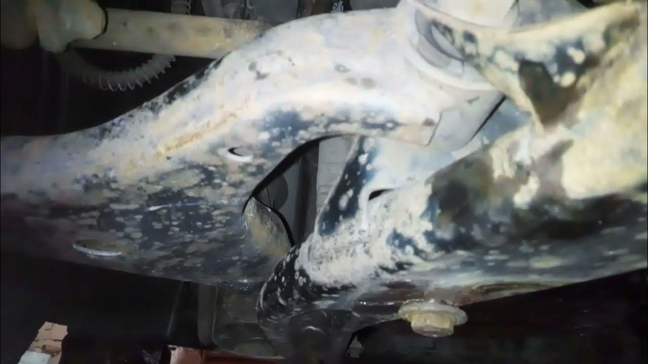 движение передний. передний привод и задний привод отличия. движение передний. ось передней конечности. равномерное движение по окружности примеры.