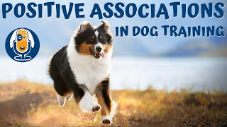 Using Coincidences and Positive Associations in Dog Training #44