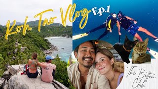 Koh Tao Vlog ep.1 หอบลูก (แมว) ไปอยู่เกาะ 16 วัน บันเทิงสุดดดด | The Bottom Club