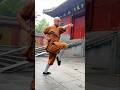 Shaolin Kung Fu ☯️ Motion and Stillness Become One (少林功夫)
