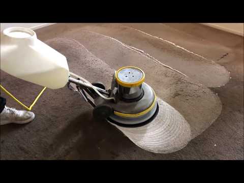 Video: Limpieza de alfombras a domicilio