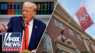Trump admin to appeal judge's ruling on Harvard grant funding freeze