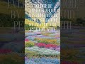 Prayer: The Antidote to Anxiety | Philippians 4:6 | Bible Verse for Action