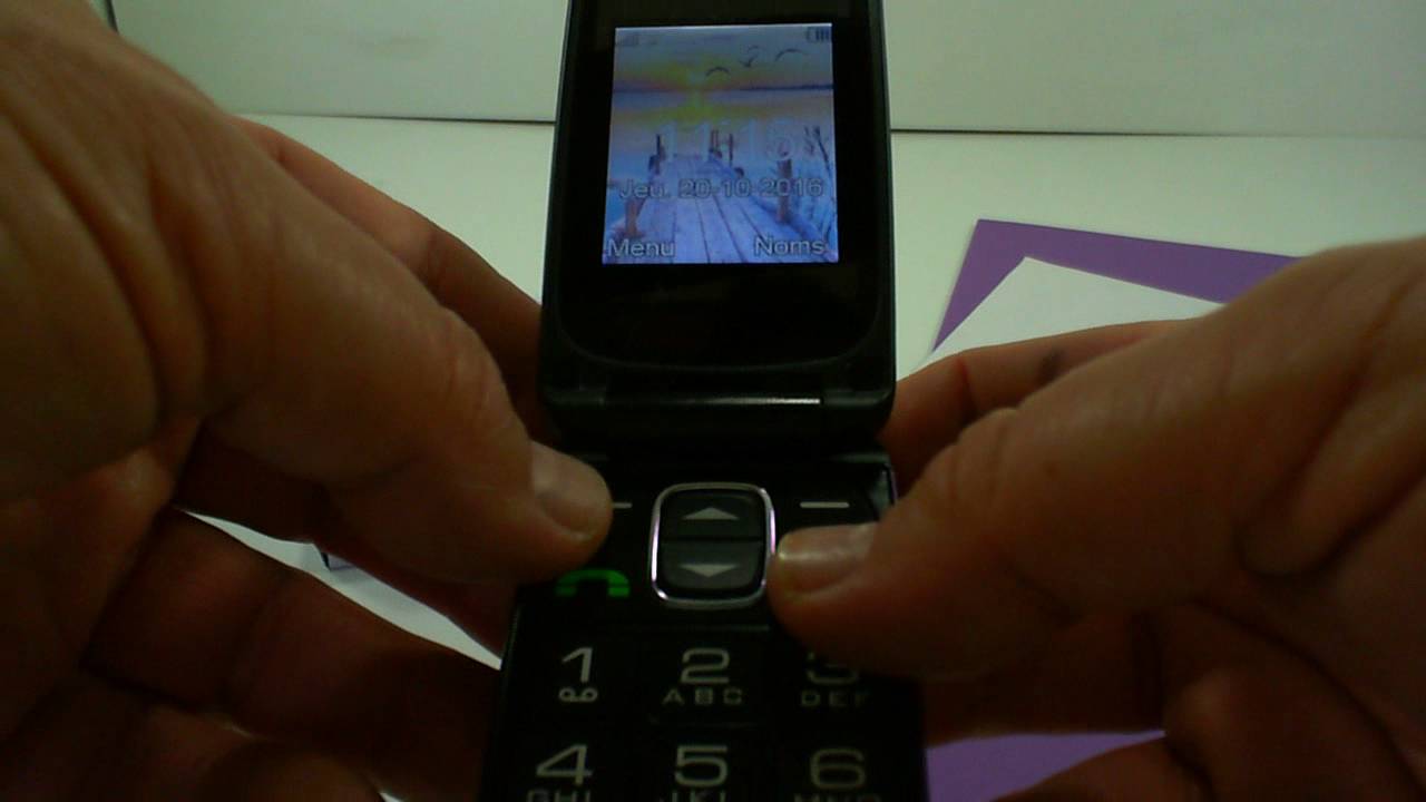 Téléphone portable pour personnes âgées SPC Internet PRINCE Noir