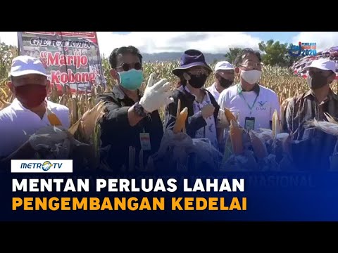 Video: Pengembangan Ke Utara