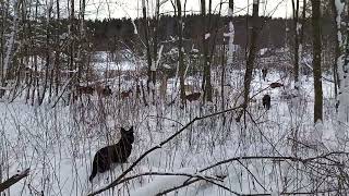 1 Января 2026 Г.