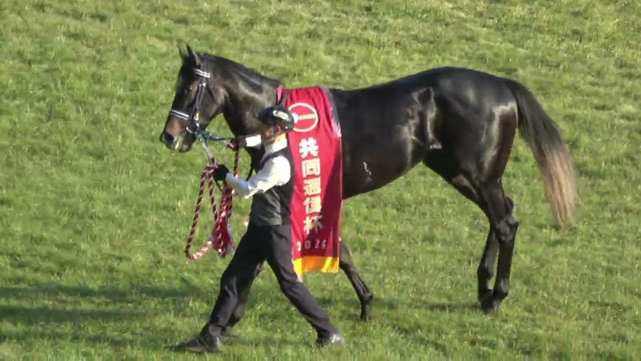 【共同通信杯2026】口取り～表彰式 現地映像 リアライズシリウス