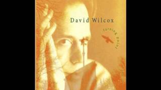 Watch David Wilcox Spin video