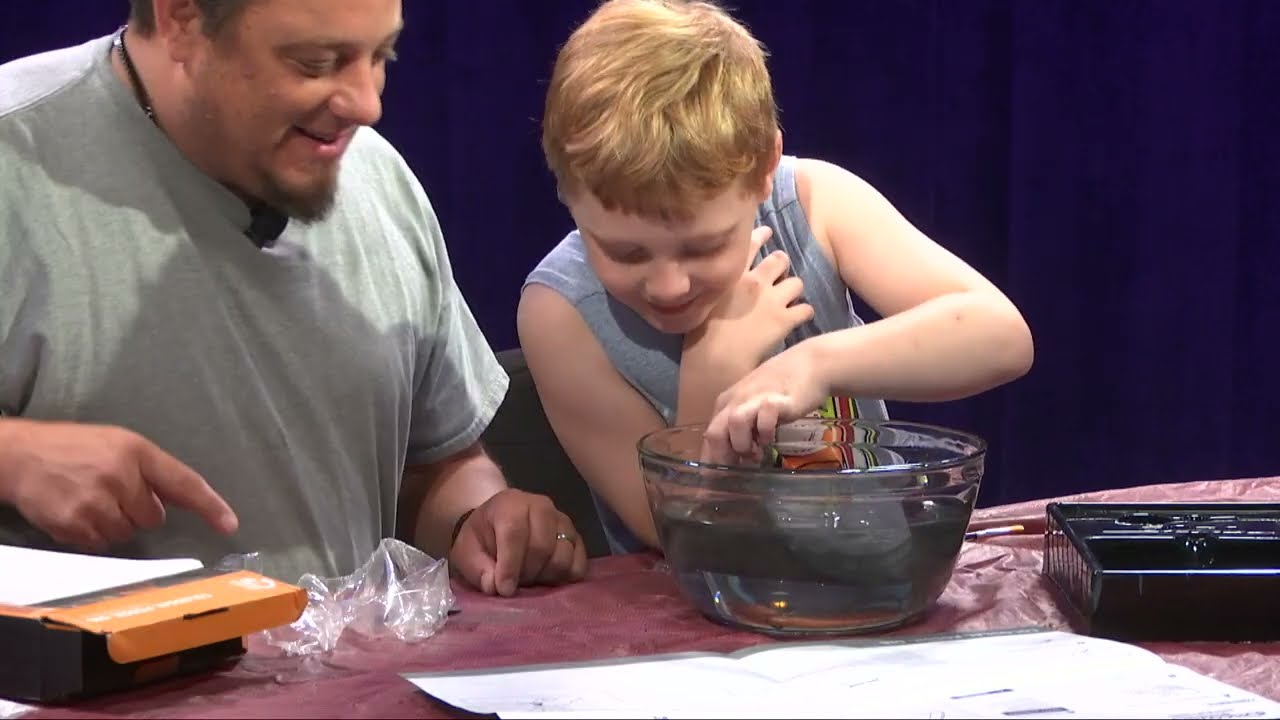 Brody's Friends Forever - B.F.F. Toys #4 - Discovery 