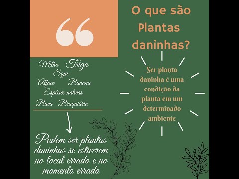 Vídeo: Planta Naturalizada Definição: Aprenda sobre Naturalização de Plantas