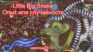Марина 1515. Little big snake.io  Литл БИГ Снейк. Опыт или случайность