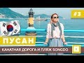 #3 ПУСАН РАЙСКИЙ ПЛЯЖ SONGDO, КАНАТНАЯ ДОРОГА, КАРТА, LOTTE, ИНДИЙСКИЙ РЕСТОРАН ЦЕНЫ В КАФЕ