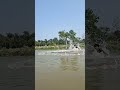 Catch a big fish by castnet River fishing time. #reels #Amazing #fishing #fish #village