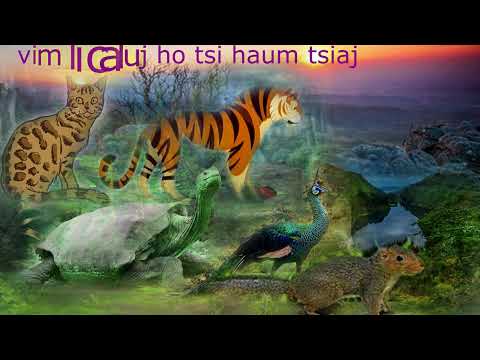 Video: Central khw center (Central market) hauv Ufa - qhov chaw zoo tshaj plaws rau kev yuav khoom thiab kev lom zem