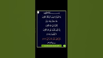 سورة النحل - سورة 16 - اية 117-116