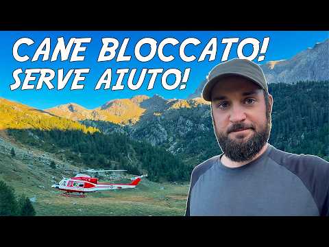 😢 WE SAVE a DOG with the FIRE DEPARTMENT! [The HELICOPTER arrives!]