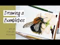 Drawing a Bumblebee for the first time - with soft pastels and pastel pencils