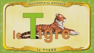 Multipédia Des Animaux. La Lettre T - Le Tigre