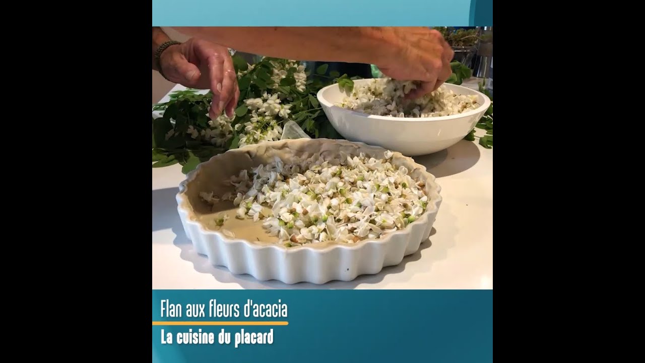 Recetteconfinement 25 Flan Aux Fleurs D Acacia Youtube