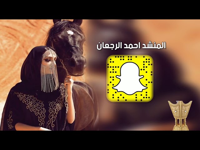 Watch شيلة باشة الغيد || احمد الرجعان  (حصرياً) 2021 on YouTube