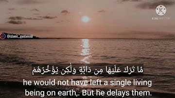 وَلَوْ يُؤَاخِذُ اللَّهُ النَّاسَ بِظُلْمِهِم/القارئ ياسر الدوسري