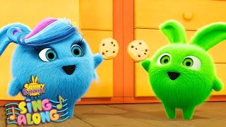 The Cookie Song | SUNNY BUNNIES | SING ALONG Compilation | Cartoons for Kids