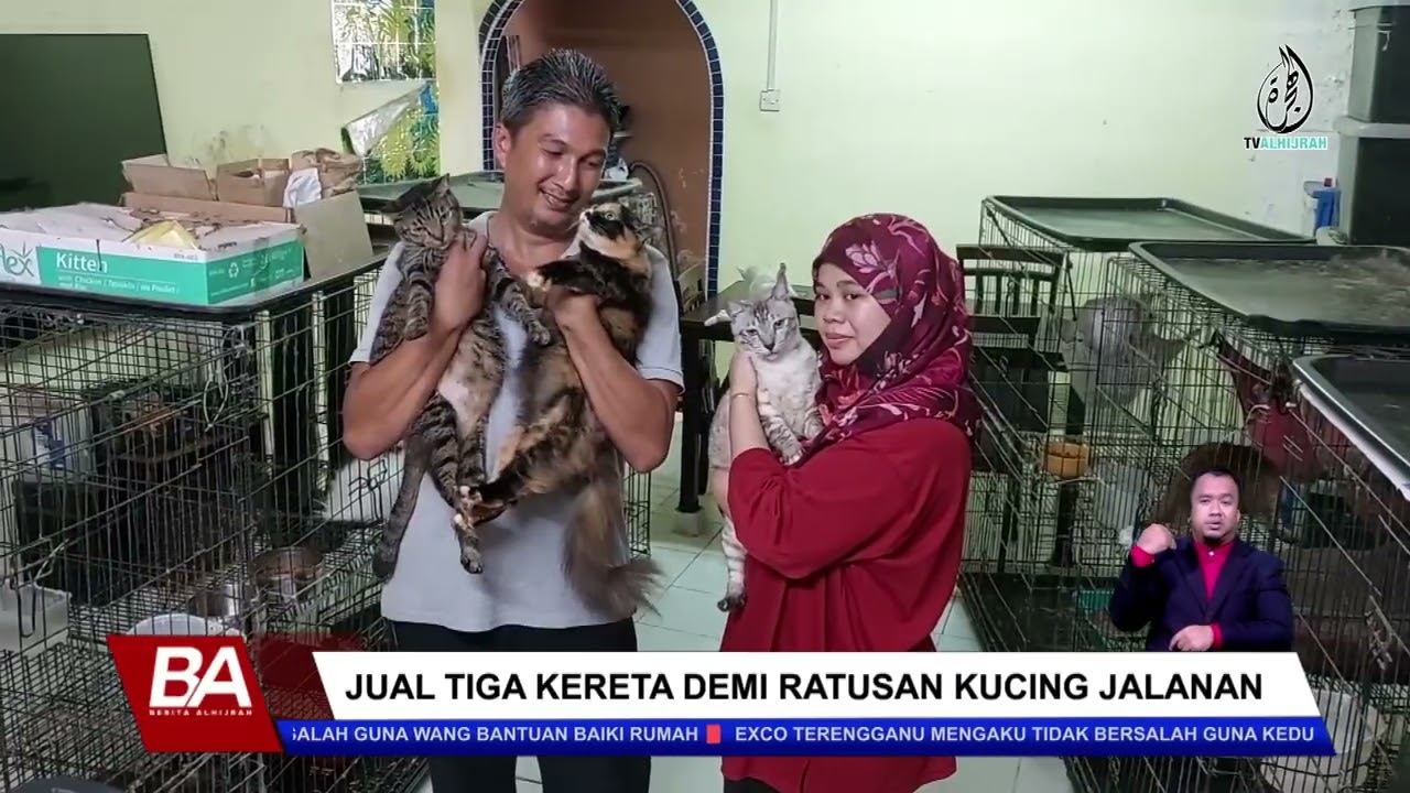 JUAL TIGA KERETA DEMI RATUSAN KUCING JALANAN