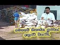 Devastating Floods Hit Sri Lanka Communities දිට්ටා සසල කළ ජන ජීවිත නැවත නගාසිටුවීම