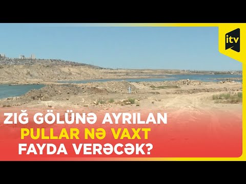 Video: Venesiya ətrafları